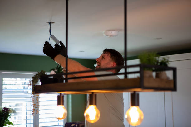 Best Electrical Upgrades for Homes  in Caseyvle, IL