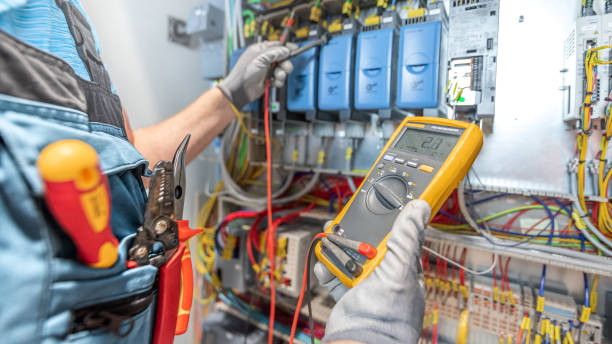Best Electrical Upgrades for Homes  in Caseyvle, IL