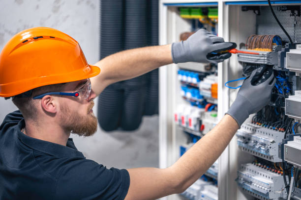 Best Home Electrical Repair  in Caseyvle, IL